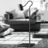 Adjustable Floor Phone & Tablet Stand
